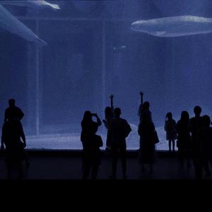 免费看成人婬A片AAA毛图片
